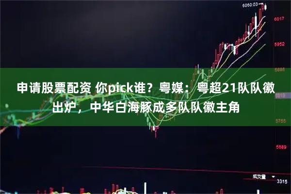 申请股票配资 你pick谁？粤媒：粤超21队队徽出炉，中华白海豚成多队队徽主角